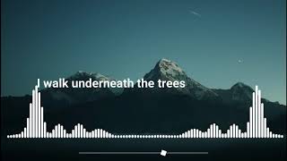 Message to Bears - You are a memory (lyrics)