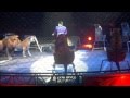 Ringling Bros And Barnum And Bailey Presents Alexander Lacey And His Big Cats 2012