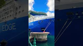 Celebrity EDGE #gruz #sydney #australiadiaries #australiancapital #automobile #travel