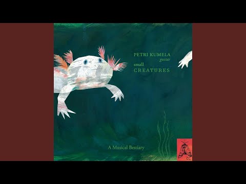 Joachim F.W. Schneider: Calypte Anna