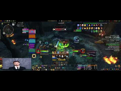 Living the PUG life - Waycrest Manor +18