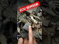ECU COMBINED SENSOR Viral Youtubeshorts Jupiter Shorts