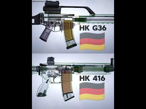 HK G36 x HK 416
