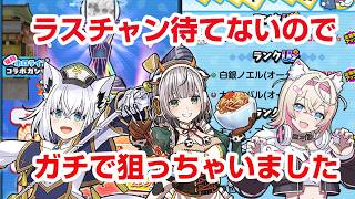 【ぷにぷに】絶対に引くべき！ホロライブコラボ最強キャラ 30%オフガシャvsラスチャン