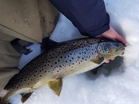 Great ice fishing trip to Lake Korttajärvi.