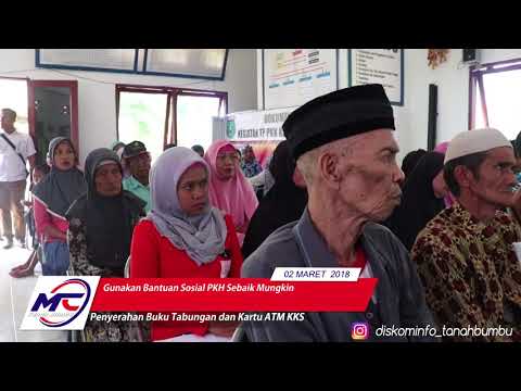 Patogen perempuan adalah yang paling efektif untuk membeli di Tyumen Bagaimana menggunakan soda untuk meningkatkan potensi