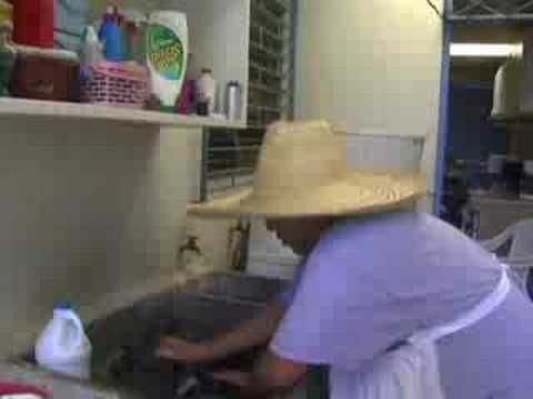 AGAPITO DIAZ EMPLEADO DOMESTICO