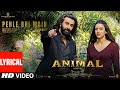 ANIMAL PEHLE BHI MAIN Lyrical Ranbir Kapoor Tripti Dimri Sandeep V Vishal M Raj S Bhushan K