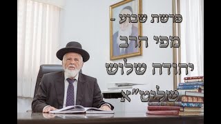 הרב יהודה שלוש שליט"א | פרשת וארא | נושא החטא ועונשו בעשר המכות (הרב יהודה שלוש) - התמונה מוצגת ישירות מתוך אתר האינטרנט יוטיוב. זכויות היוצרים בתמונה שייכות ליוצרה. קישור קרדיט למקור התוכן נמצא בתוך דף הסרטון