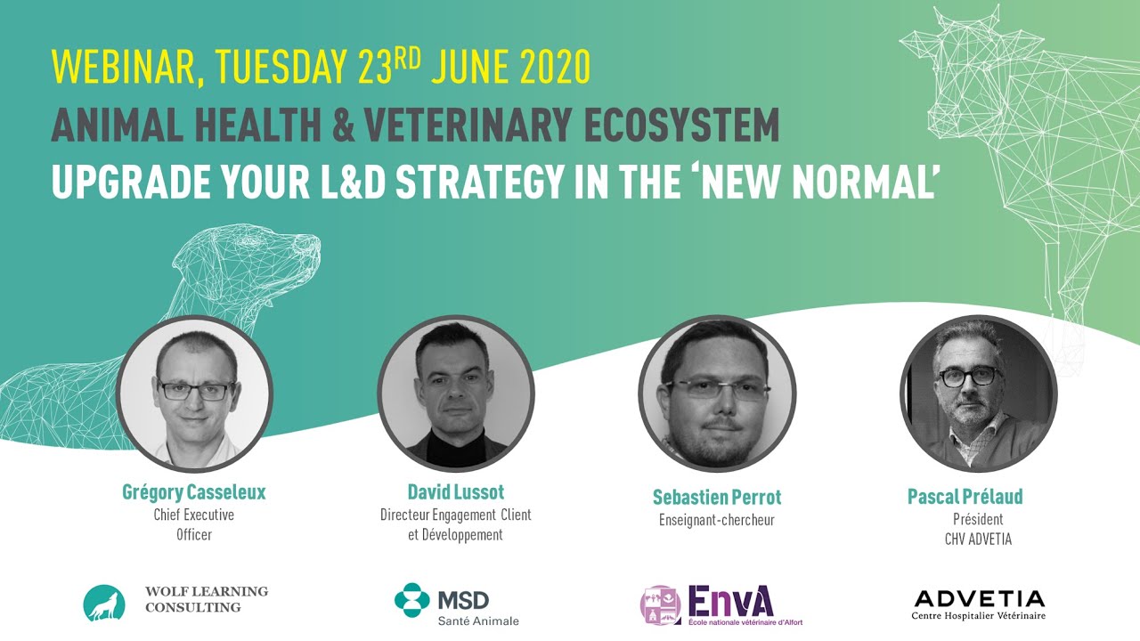 Upgrade your L&D strategy in the new normal for the animal health and veterinary industry