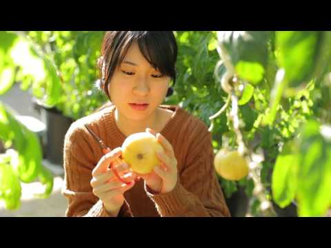 農学部 農学科
