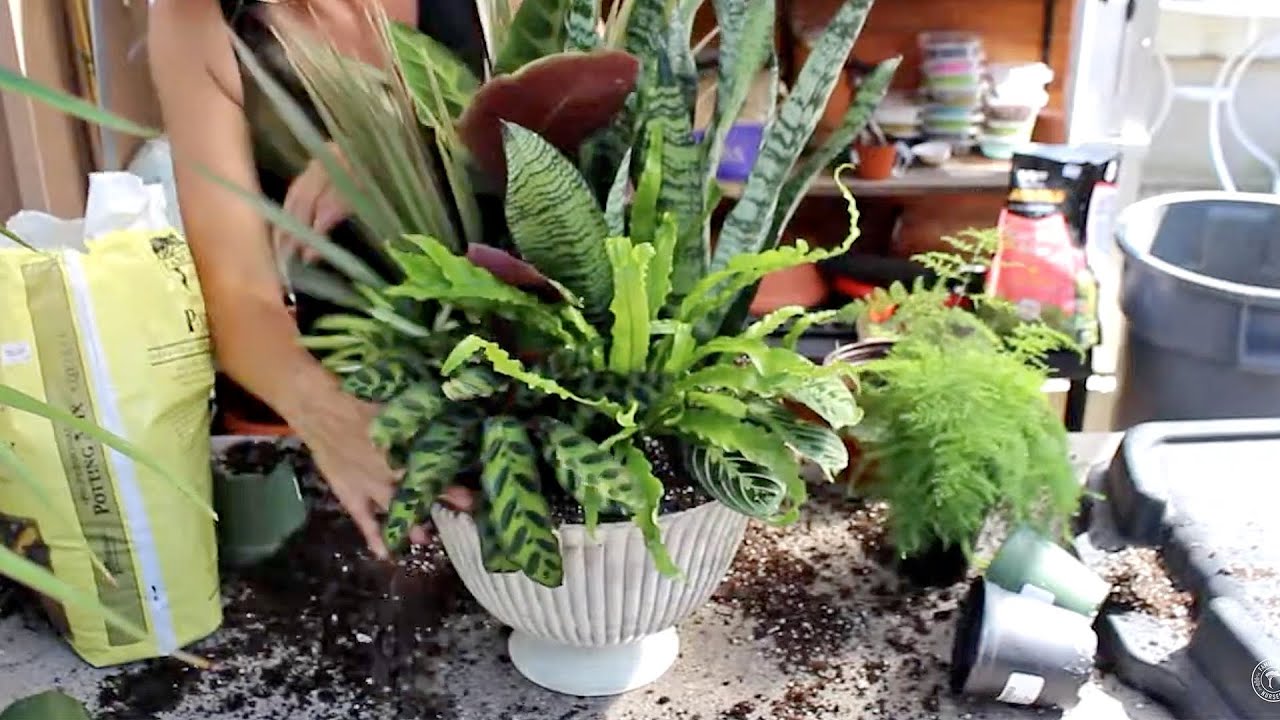 Easy-To-Make Indoor Container