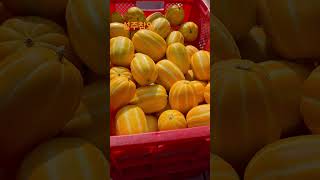 Download lagu 성주참외 첫수확 중입니다~^^ #성주참외 #농장생활 #farming #주말농장 #농촌봉사활동 #맛집 #성주군귀농귀촌연합회 #첫참외 mp3