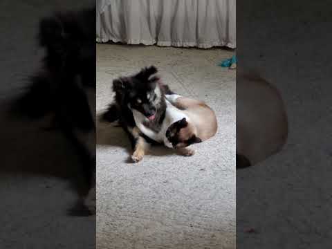 Darien and rehgar April 4 2021