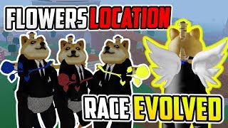 🌸 ALL FLOWERS LOCATION & V2 RACE EVOLUTION IN BLOX PIECE?!