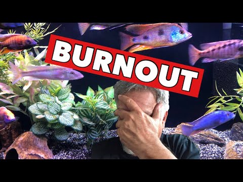 My Tips for AVOIDING or RECOVERING from FISH KEEPING BURNOUT!