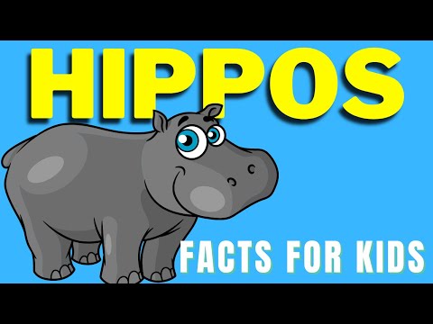 All About Hippos For Kids | Facts About Hippos | Hippopotamus