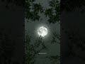 Teri Deewani ️ Tere Naam Se Jee Lu Kailash Kher WhatsApp Status Latest Video 2023 Lyrics Video