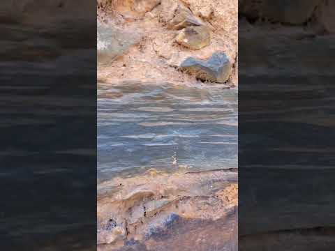 Igreja de Bom Jesus de Matozinhos, Barra do Guaicuí (Minas Gerais)Part 3