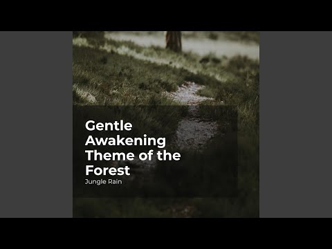 Harmonious Jungle Rain