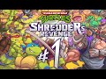 Teenage Mutant Ninja Turtles Shredder 39 s Revenge Part