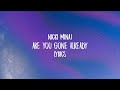 Nicki Minaj - Are you gone already (lyrics)