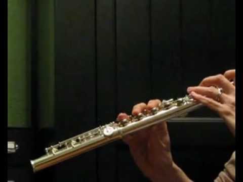 Di Zhao DZ700 Pro New Flute, Open-Holes and B Foot, Split-E, C# trill, D# roller