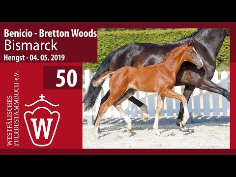 50 Bismarck Hengst v. Benicio - Bretton Woods