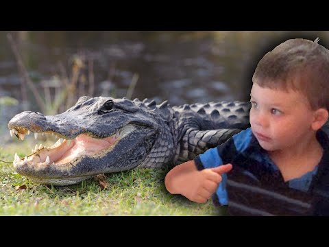 ALLIGATOR takes 2-year-old Boy. Visiting the Crypt of Little Lane Graves.
