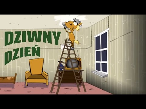 KOŃ RAFAŁ - DZIWNY DZIEŃ