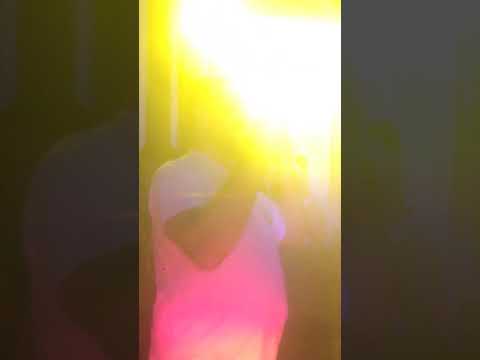 Neverdogs London bamboleo