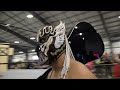 Jon Moxley Vs El Desperado KUSHIDA Vs Alex Shelley TONIGHT On AXS