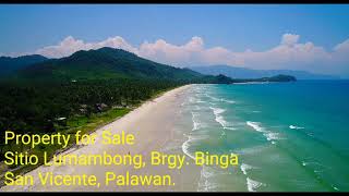 preview picture of video 'Sitio Lumambong,  Brgy.  Binga,  San Vicente,  Palawan'