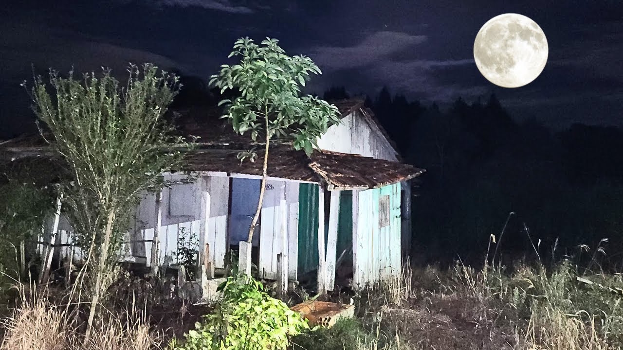 THE WITCH'S HOUSE IS A CURSED HOUSE