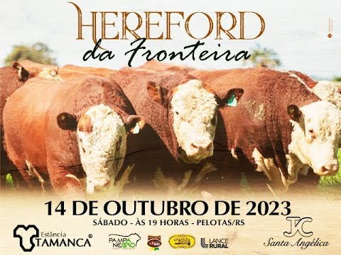 14° Remate Hereford da Fronteira