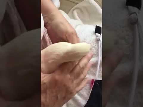 Kindly handling a stressing bird to put on a BBB Flyper Bird diaper.