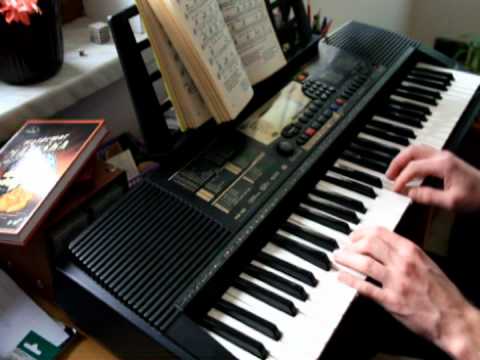 Frankie Dlouhán - keyboard