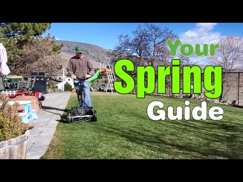 Spring Lawn Care: Fix An Ugly Lawn In One Year - Everything You Need To Know