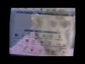 IBM Monkey Commercial 1996