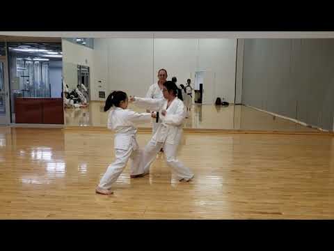White Belt (10th kyu - 8th kyu) Tournament Kumite Demonstration