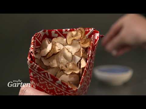 Topinambur ernten und Chips herstellen | MDR
