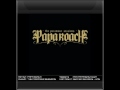 Papa Roach - What Do You Do [HQ & Lyrics]