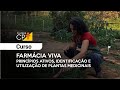 Curso Administração da Pequena Empresa Rural