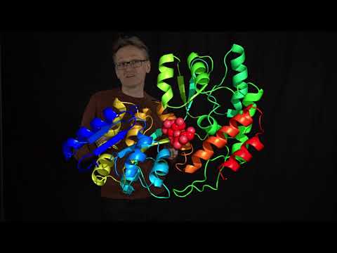 Lecture 11, concept 01: Bioinformatics focuses on evolution and data