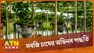 ভাসমান সবজি