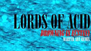 Drowning In Ecstasy - Lords of Acid - Remixed by Martyr Art (Groove Metal Mix)