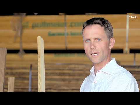 Das Einsatzgebiet der Esche