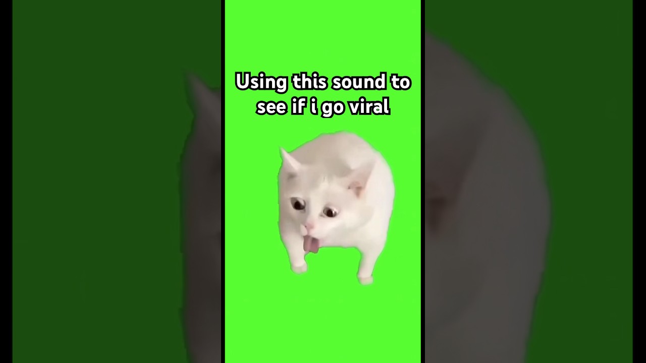 Use this audio to go viral.#shorts#memes #funny #trending #viral #usethisaudio #youtube