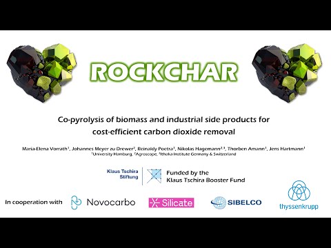 ROCKCHAR. Co-Pyrolysis of biomass and industrial side products, Oxford 18. June 2024