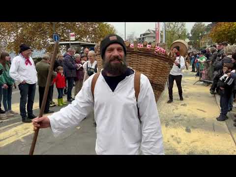 Sennenchilbi Weggis 2022